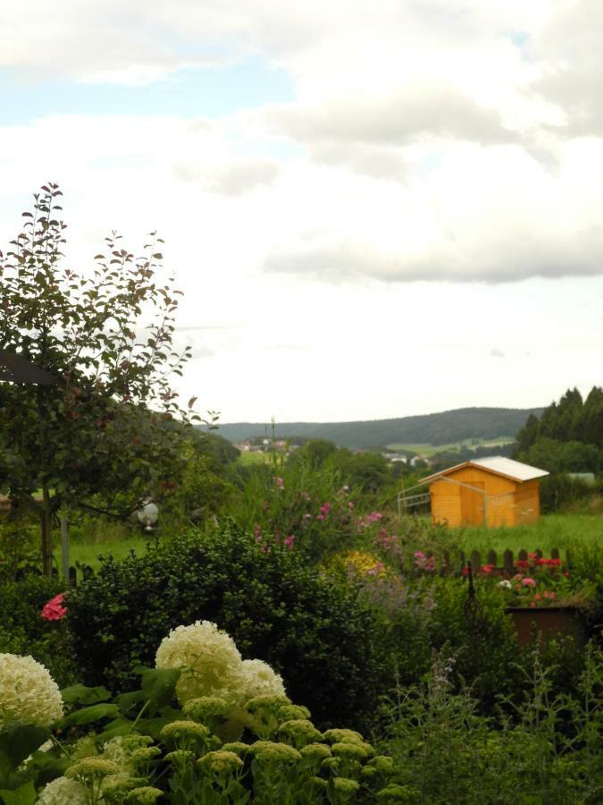 Villa Luzia Meuspath Exterior foto